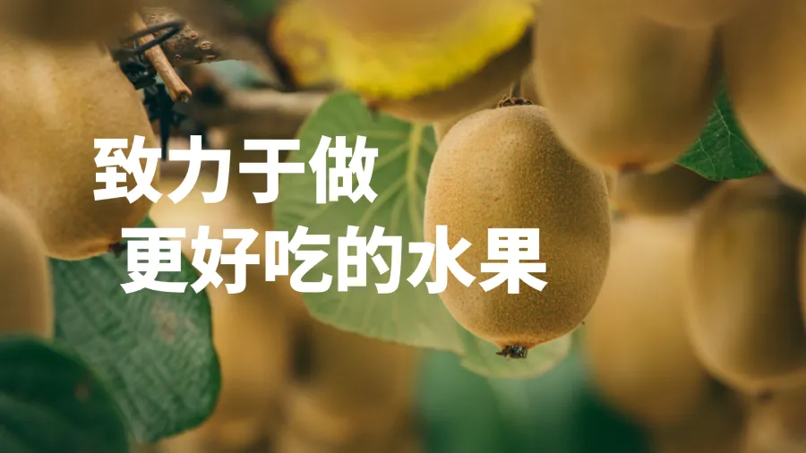 百果园仓储——超2万平的“新鲜”智慧仓库
