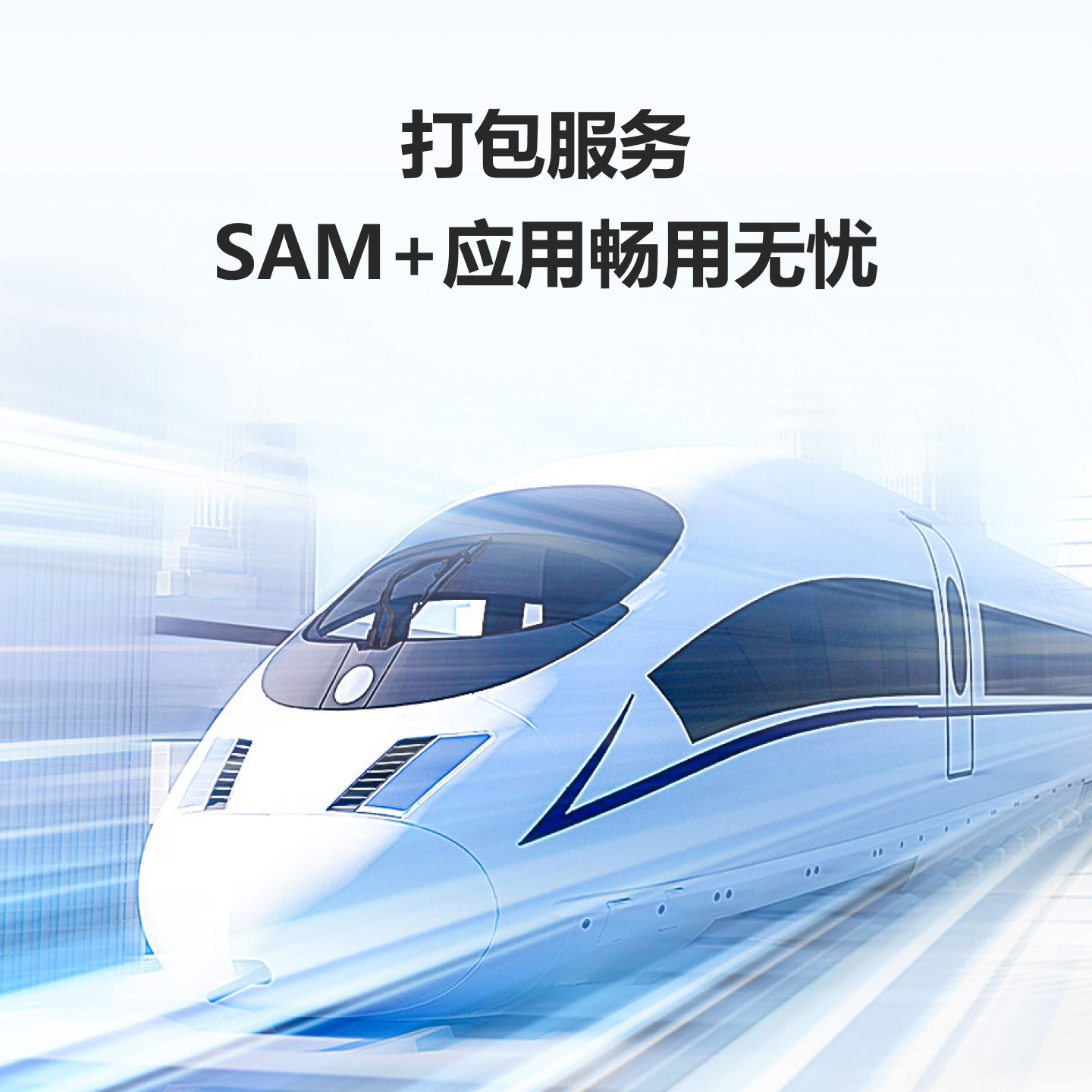 RG-SAM+增值维护服务，畅用无忧又1年